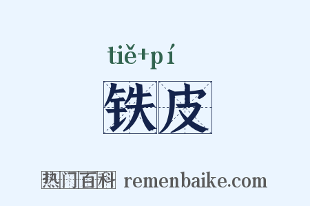 铁皮是什么意思的图片